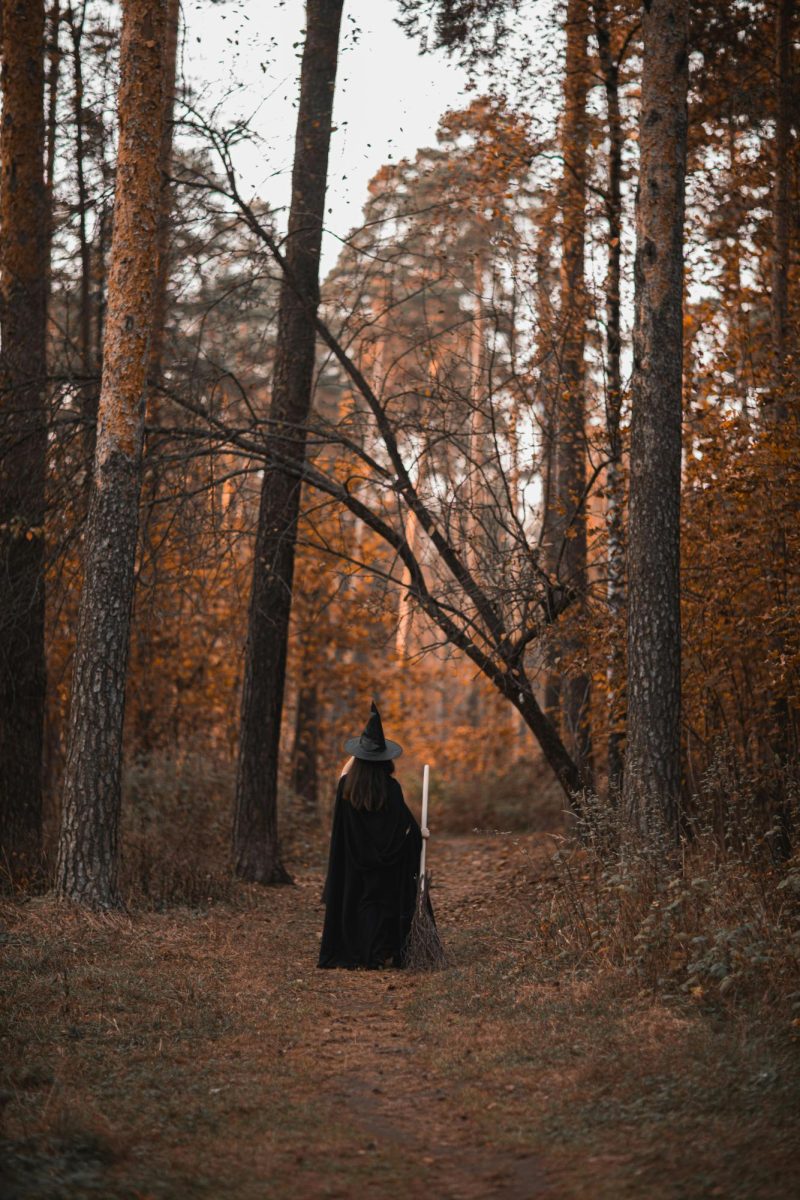 https://www.pexels.com/photo/person-in-witch-costume-standing-in-the-middle-of-the-woods-5634864/