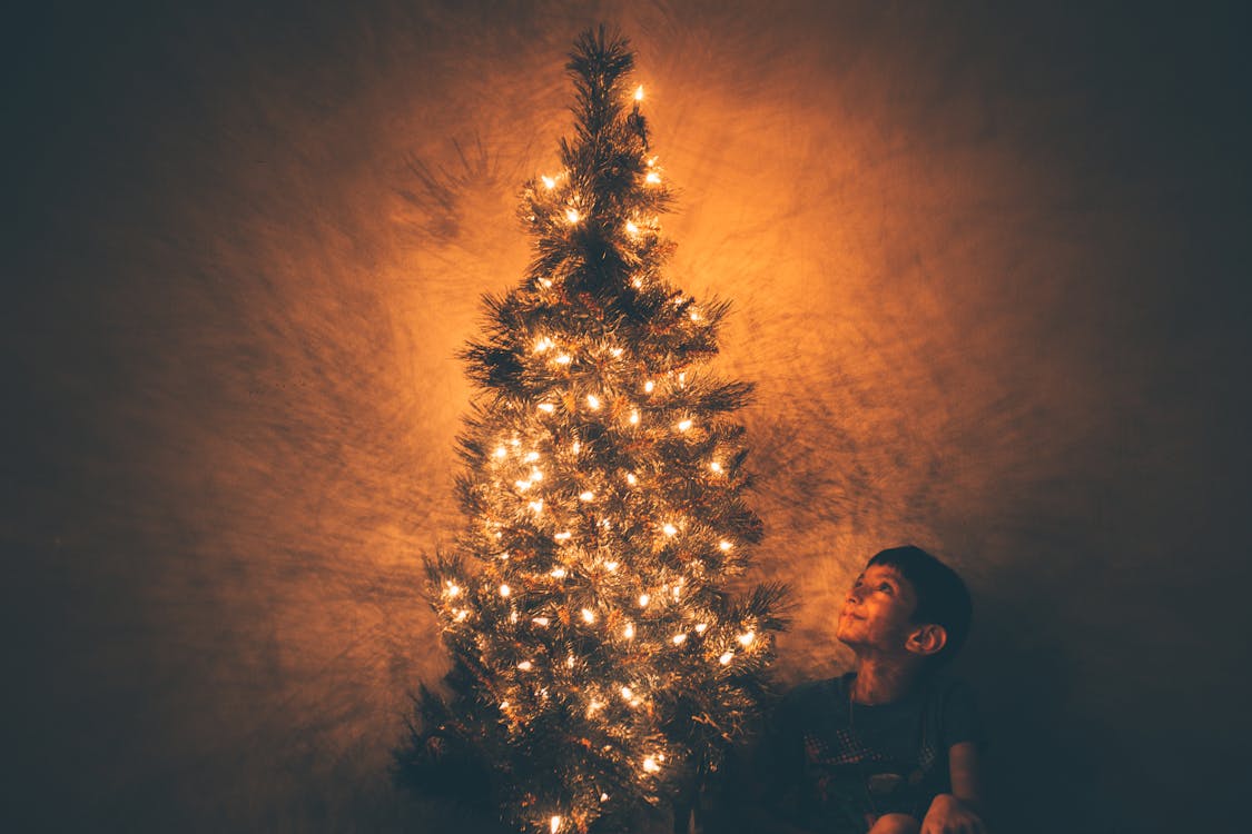 https://www.pexels.com/photo/boy-beside-christmas-tree-illustration-713148/