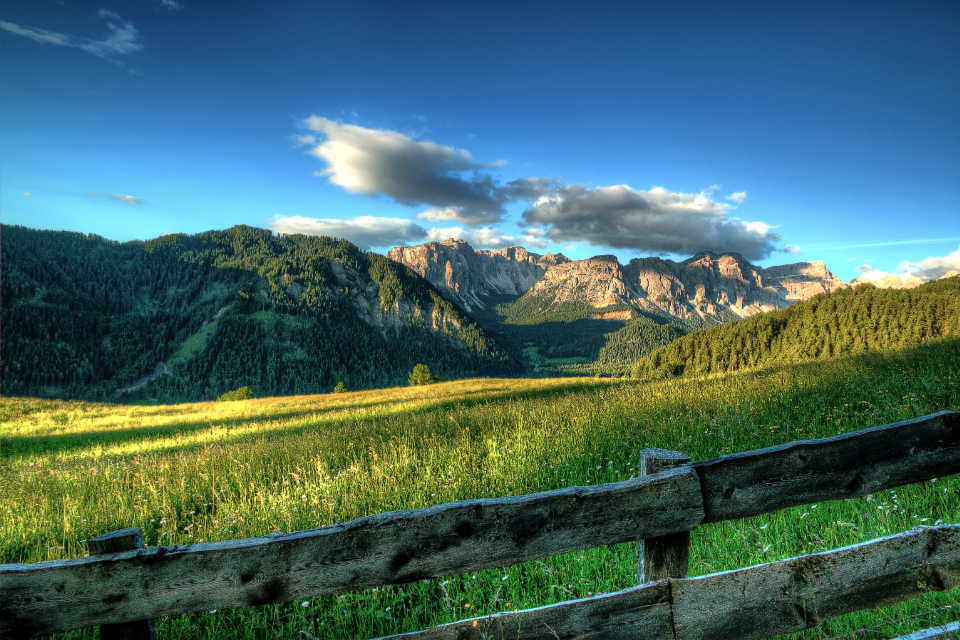 https://stocksnap.io/photo/summer-meadow-WV8DCJSIQV