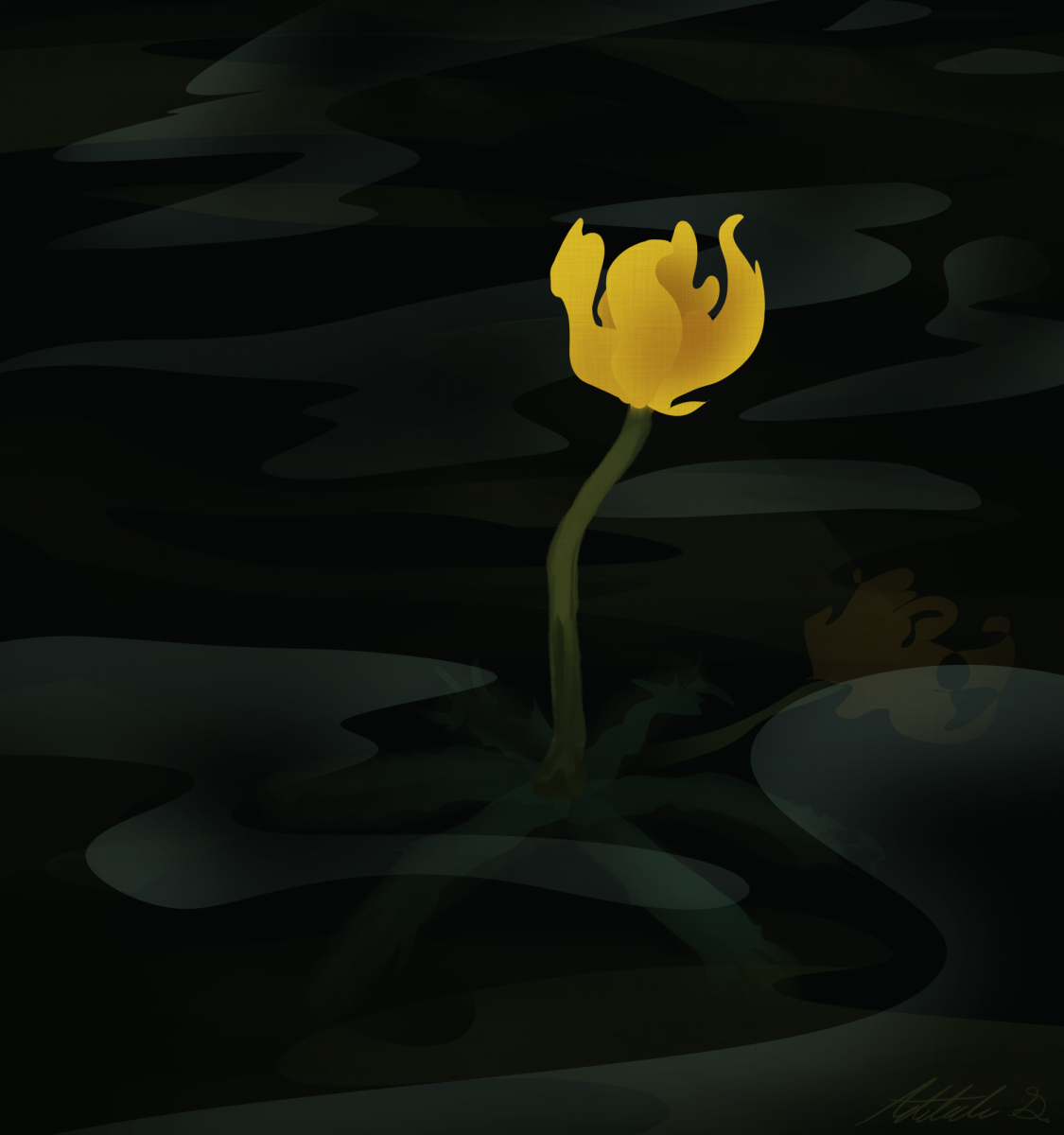 Bladderworts