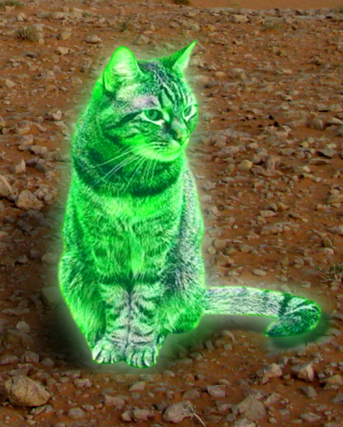 https://commons.wikimedia.org/wiki/File:Green_glowing_cat.png#
https://creativecommons.org/licenses/by/4.0/deed.en